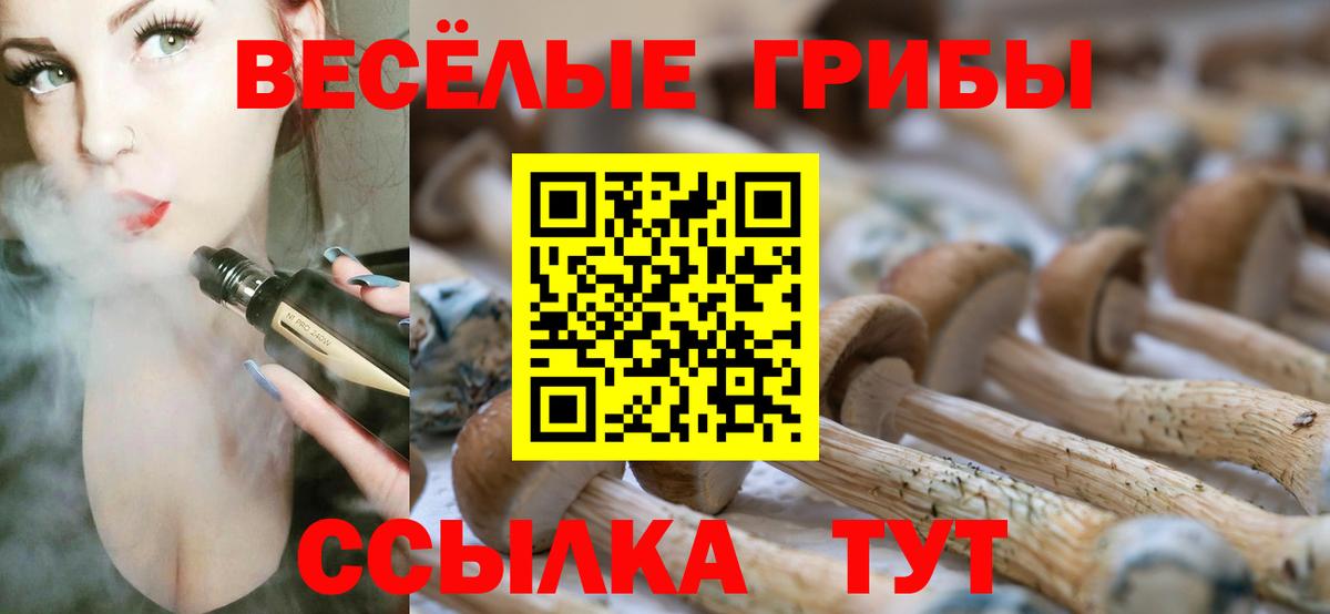 Галлюциногенные грибы GOLDEN TEACHER  Вход с VPN  Красноуфимск 