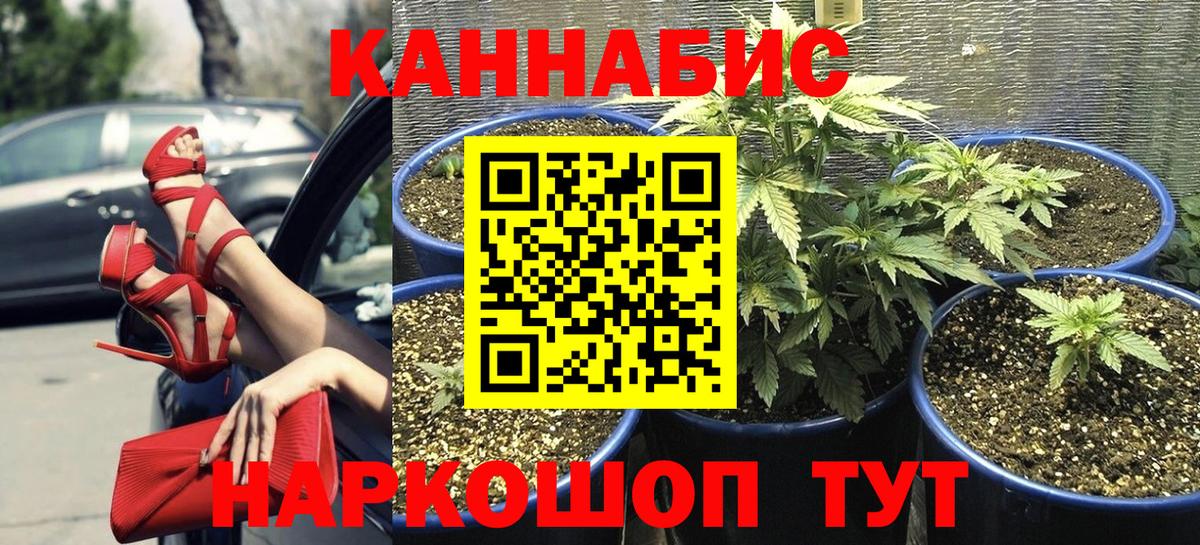 Бошки Шишки конопля Красноуфимск
